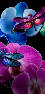 Colorful dragonflies rest on vivid orchids against a dark backdrop.