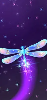 Colorful dragonfly in a starry purple galaxy background.