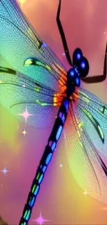 Vibrant dragonfly with sunset background on mobile wallpaper.