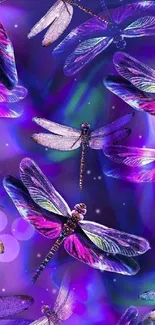 Vibrant dragonfly-themed phone wallpaper in purple hues.