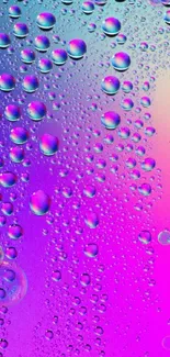 Vibrant wallpaper with colorful droplets on purple and pink gradient.