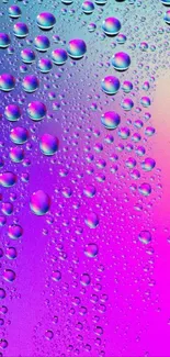 Abstract colorful droplets on a vibrant purple and blue gradient background.