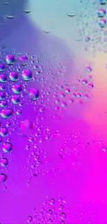 Vibrant purple and pink wallpaper with water droplets.