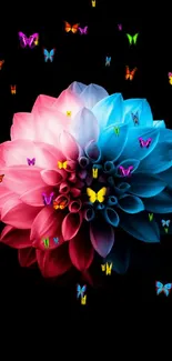 Pink and blue flower on black background wallpaper.