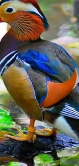 Vibrant mandarin duck on a branch with colorful feathers in serene nature setting.