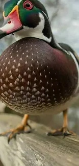 Colorful duck perched on a wooden rail, vibrant nature scene.