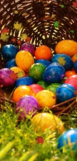 Colorful Easter eggs in a basket on green grass.