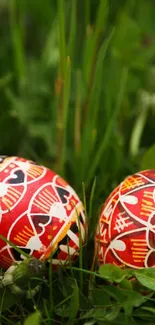 Colorful Easter eggs with intricate patterns in green grass.