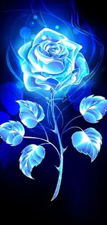 Luminous electric blue rose on a dark background, perfect for wallpaper.