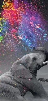 Elephant with a splash of vibrant colors in a monochrome landscape.