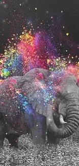 Vibrant colorful elephant with artistic color splash effect on black background.