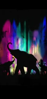 Elephant silhouettes against colorful light.