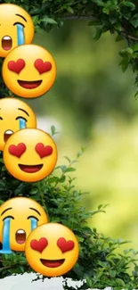 Colorful emoji wallpaper with green leaves.