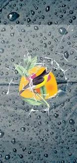 Colorful emoji under cracked screen with raindrops.