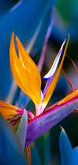 Vibrant exotic flower with blue leaves