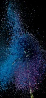 Exploding flower in blue and purple on black background wallpaper.