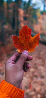 Hand holding a vibrant red maple leaf in an autumn forest setting.