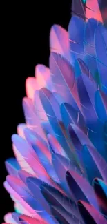 Abstract wallpaper featuring vibrant blue and pink feathers on a dark background.