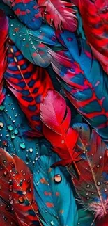 Colorful feather-themed mobile wallpaper.