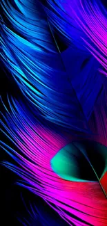 Vibrant blue and pink feather wallpaper for mobile.