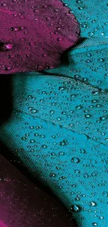 Vibrant teal and magenta feather with water droplets wallpaper.