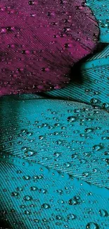 Teal and magenta feather design with water droplets.