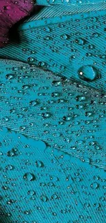 Close-up of a turquoise feather with water droplets.