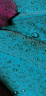 Teal and purple feather with raindrops mobile wallpaper.