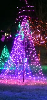 Purple and green festive light display with holiday decorations.