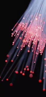 Fiber optics display in red and blue glow on black background.