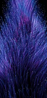 Fiber optic inspired wallpaper with vibrant blue and purple colors.