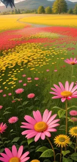 Vibrant flower field with daisies and scenic landscape.