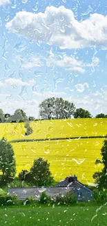 Lush green fields under a bright blue sky.