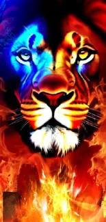 Fiery lion with vibrant colors mobile wallpaper.