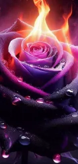 Purple rose with flames and droplets wallpaper.