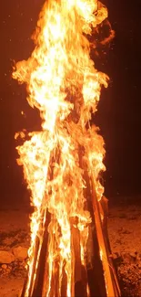 Blazing bonfire with vibrant flames against a dark background.