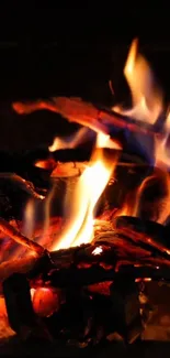 Colorful fire flames creating a warm glow.