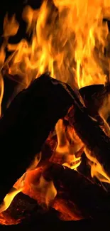 Vibrant orange fire flames against a dark background.