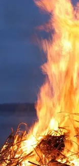 Vibrant flames rising against a blue sky backdrop.