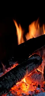 Close-up of firewood burning with vibrant flames.