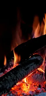 Close-up of glowing firewood with bright flames.