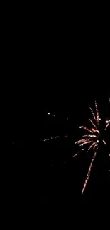 Colorful fireworks burst against a black sky.