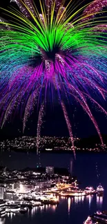 Colorful fireworks display over city skyline at night.