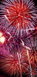 Vibrant fireworks burst in red against a dark sky.