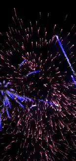 Vibrant fireworks illuminating the dark night sky in a dynamic display.