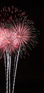 Vibrant fireworks display against a dark night sky, perfect for mobile wallpaper.