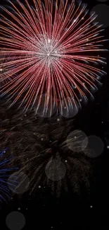 Vibrant fireworks lighting up the night sky.