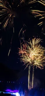 Colorful fireworks burst against a night sky.