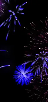 Vibrant fireworks against a black sky, creating a colorful display.