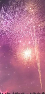 Vibrant fireworks on a purple night sky with silhouetted crowd.